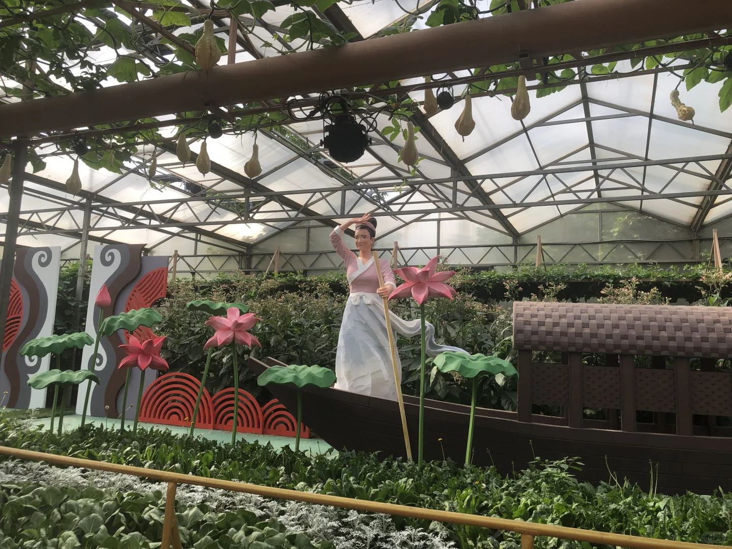 寿光菜博会（一）