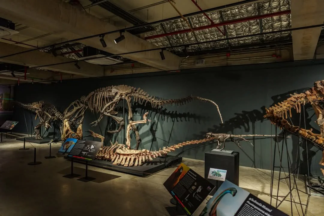 曼谷看展-THAINOSAUR 泰国恐龙展