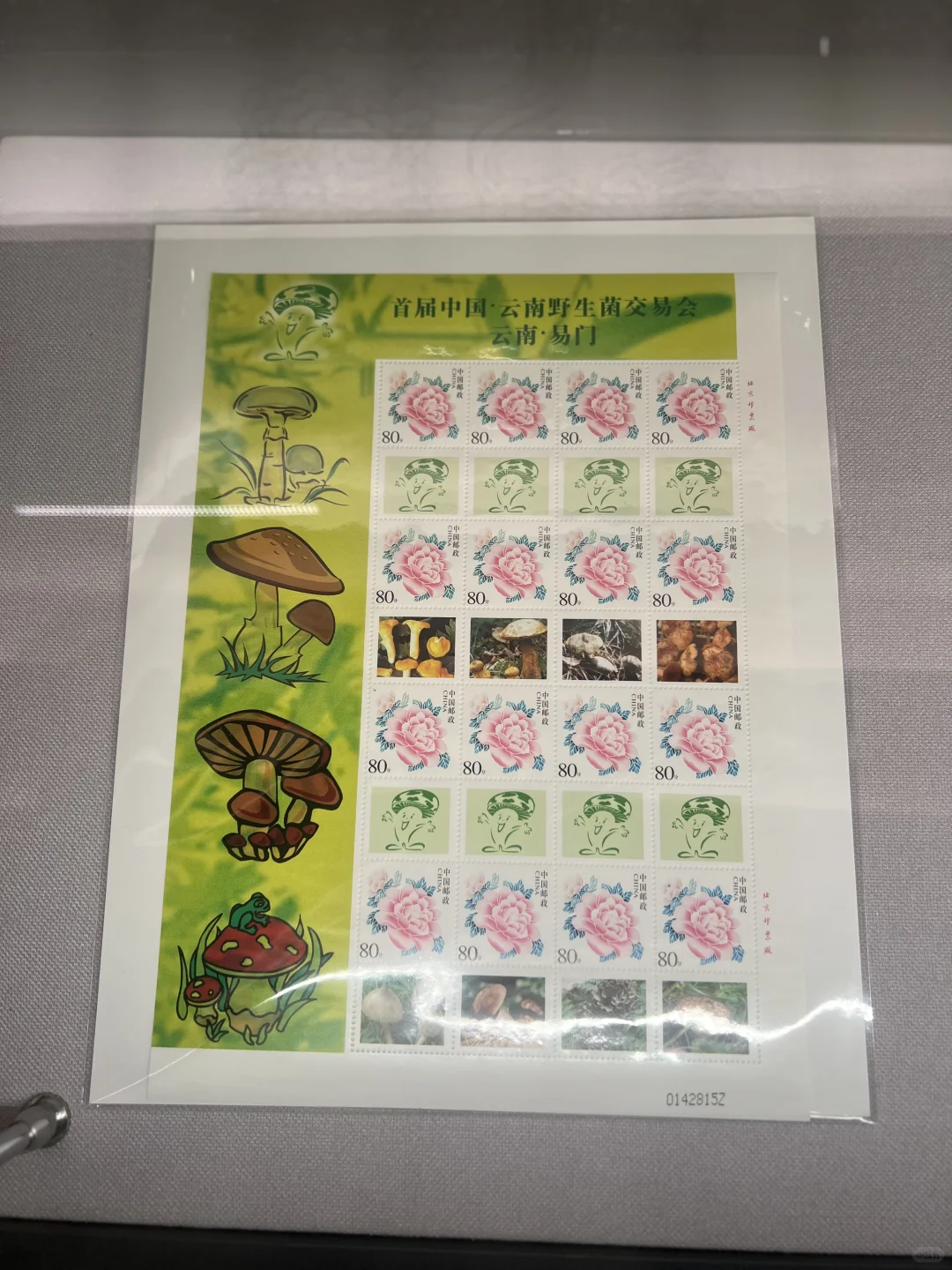 走进易门野生菌博物馆