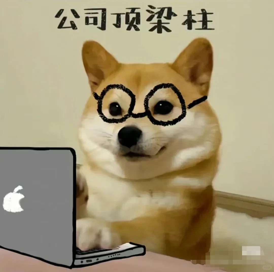 沙井采购群