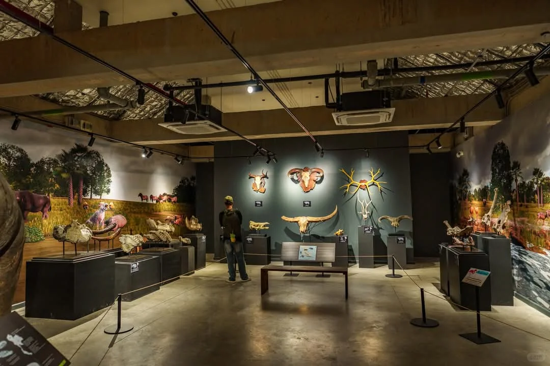曼谷看展-THAINOSAUR 泰国恐龙展
