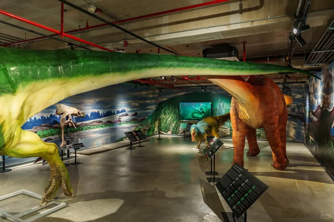 曼谷看展-THAINOSAUR 泰国恐龙展