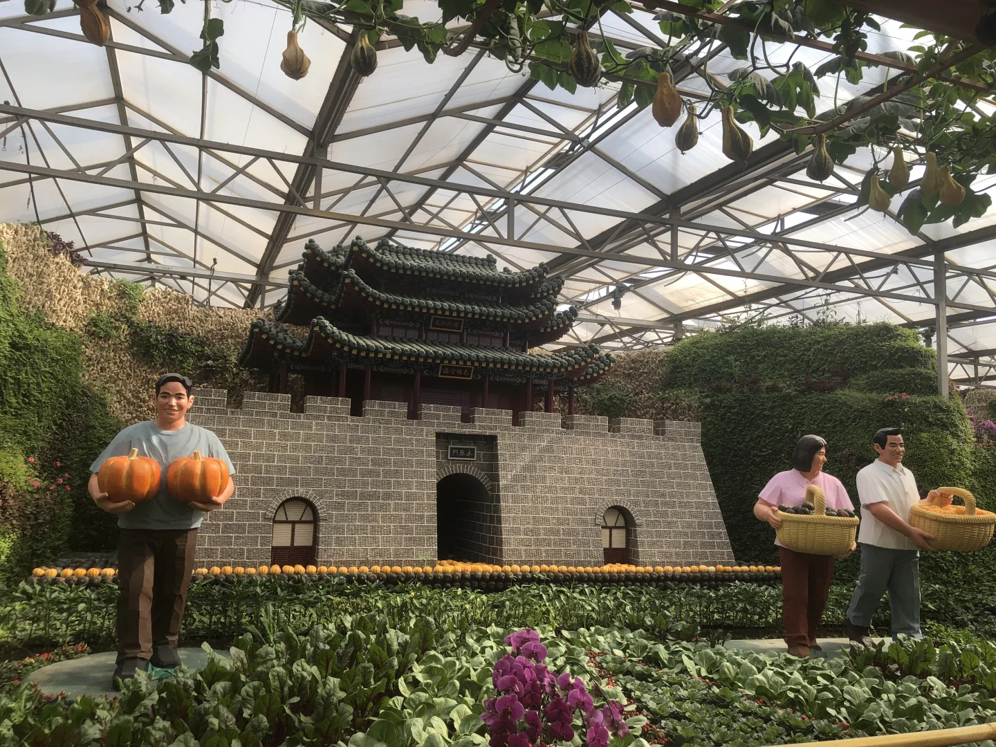 寿光菜博会（一）