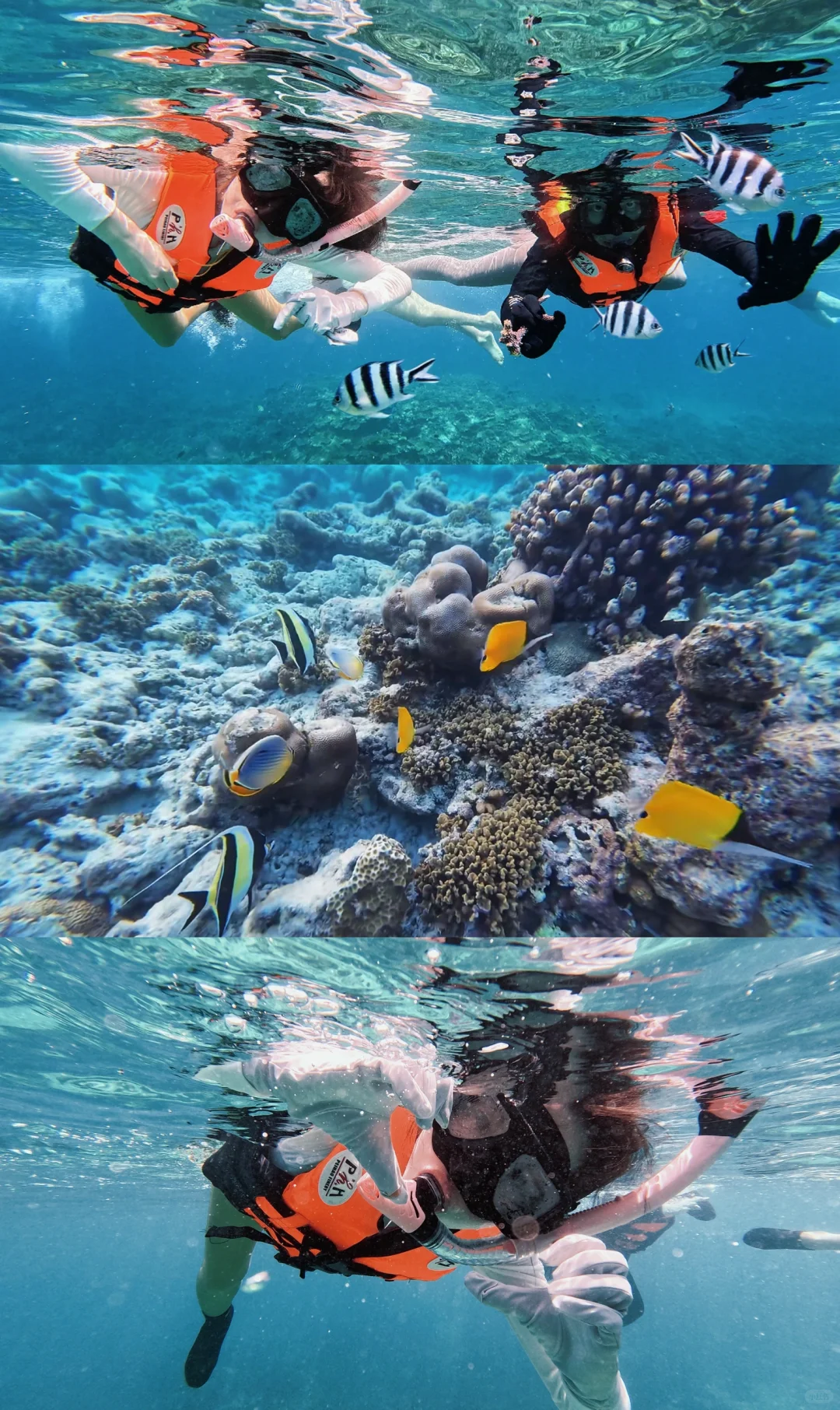 海岛记忆?