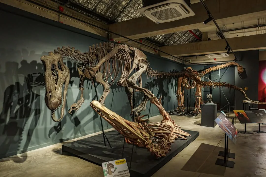 曼谷看展-THAINOSAUR 泰国恐龙展