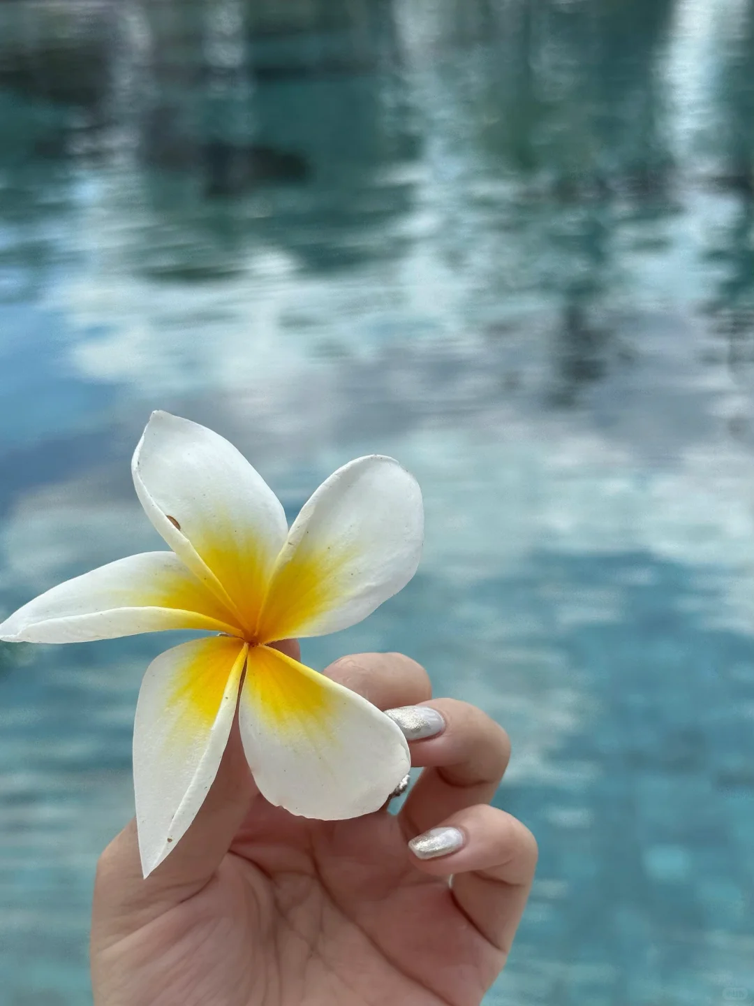 浪漫在逃度假人??️