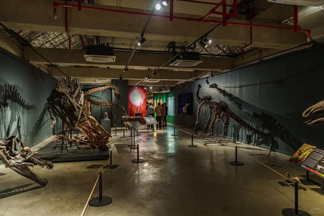 曼谷看展-THAINOSAUR 泰国恐龙展