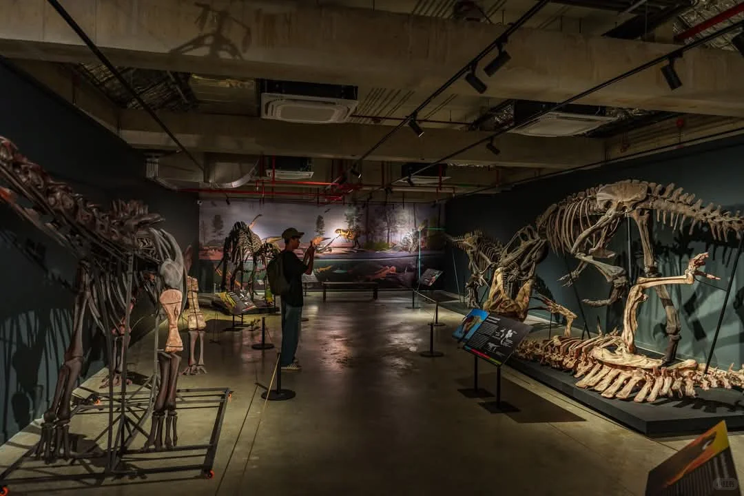 曼谷看展-THAINOSAUR 泰国恐龙展