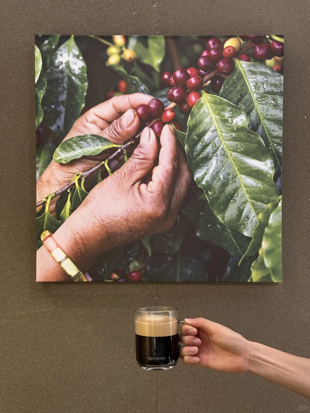 深圳|去看了Nespresso很有意义的快闪?