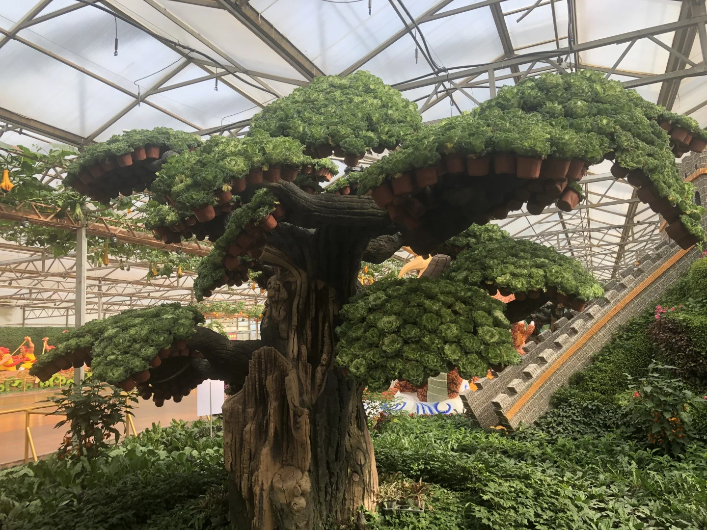 寿光菜博会（一）