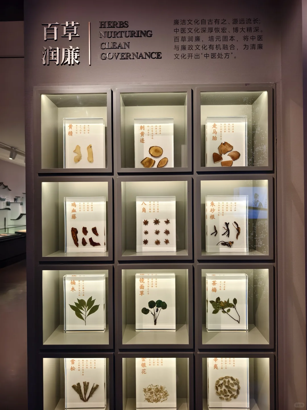 在中山！新开免费～趁少人知道！快冲