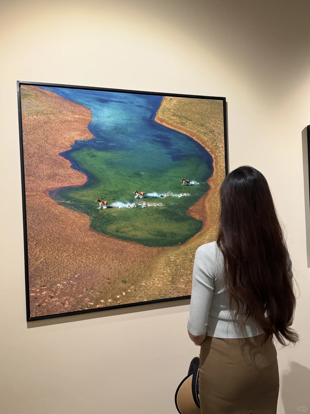 石家庄出息了！河北首展！