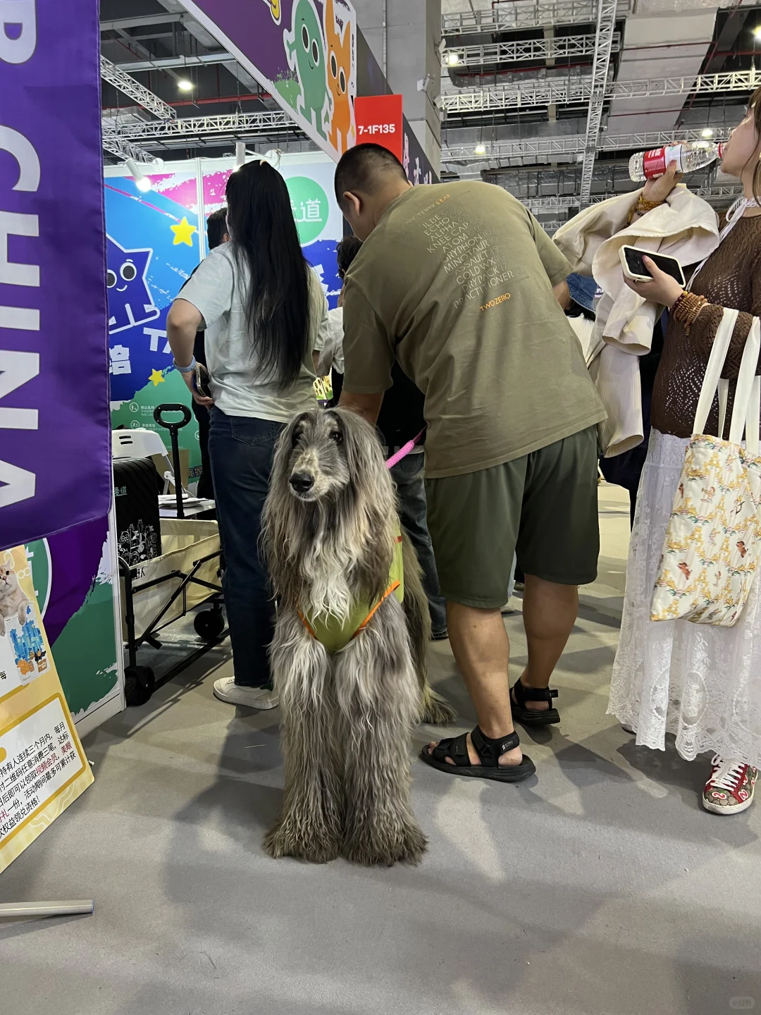 ?逛它博会啦,真的有亿点点想说