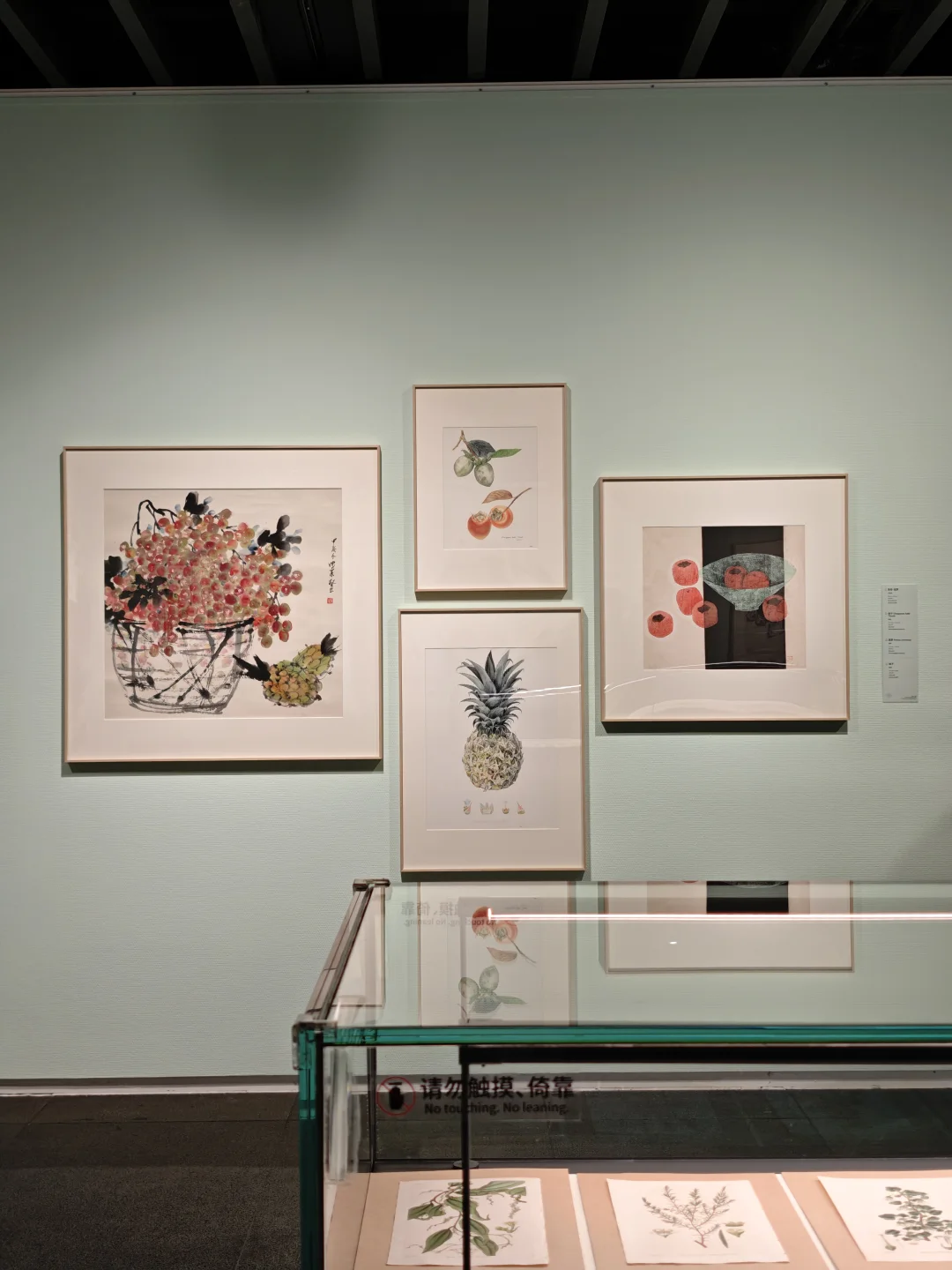 深圳新展｜植物“双面镜”，艺术与科学并置