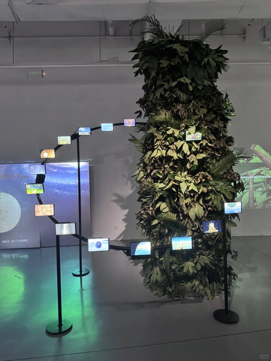?苏州｜解锁金鸡湖新展?