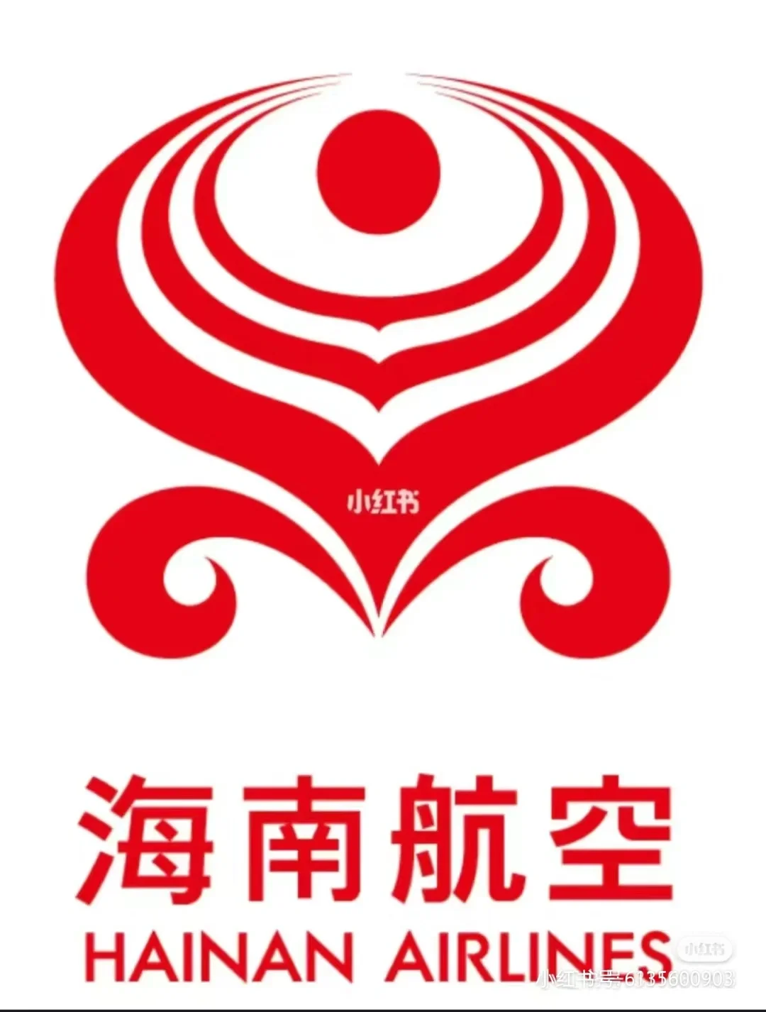 海航去年7月推介会