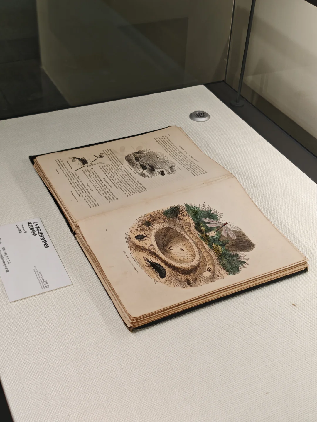 深圳新展｜植物“双面镜”，艺术与科学并置