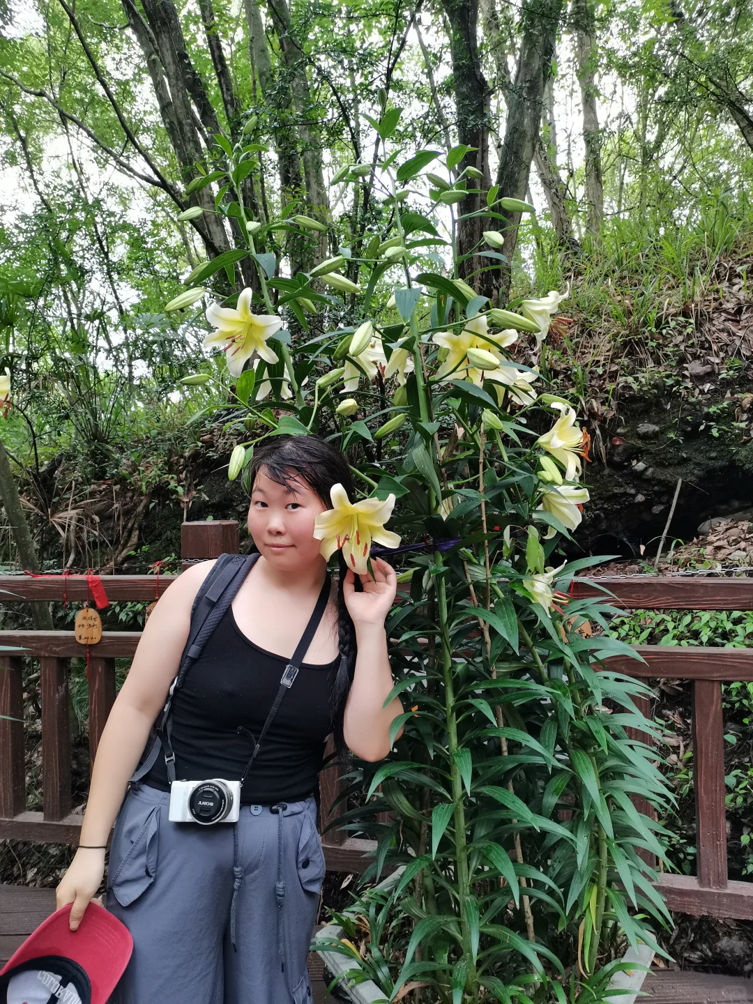 人是妈生的，必然有 啦