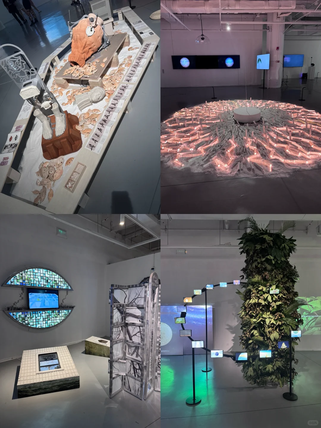 ?苏州｜解锁金鸡湖新展?