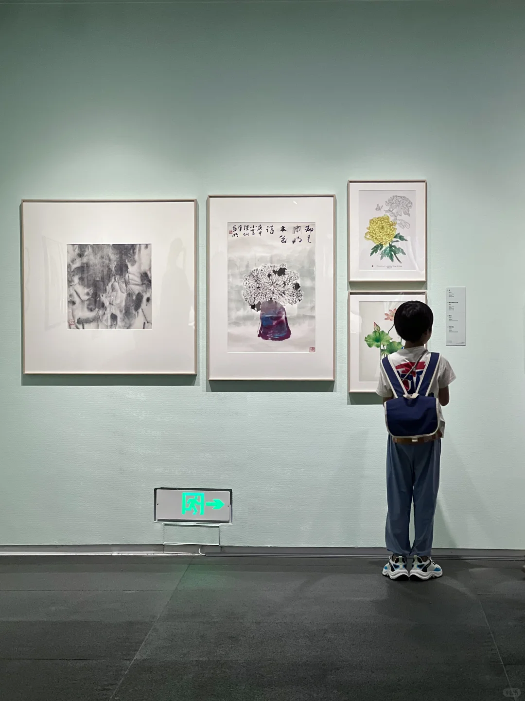 在深圳美术馆里逛森林❓这个免费新展做到了