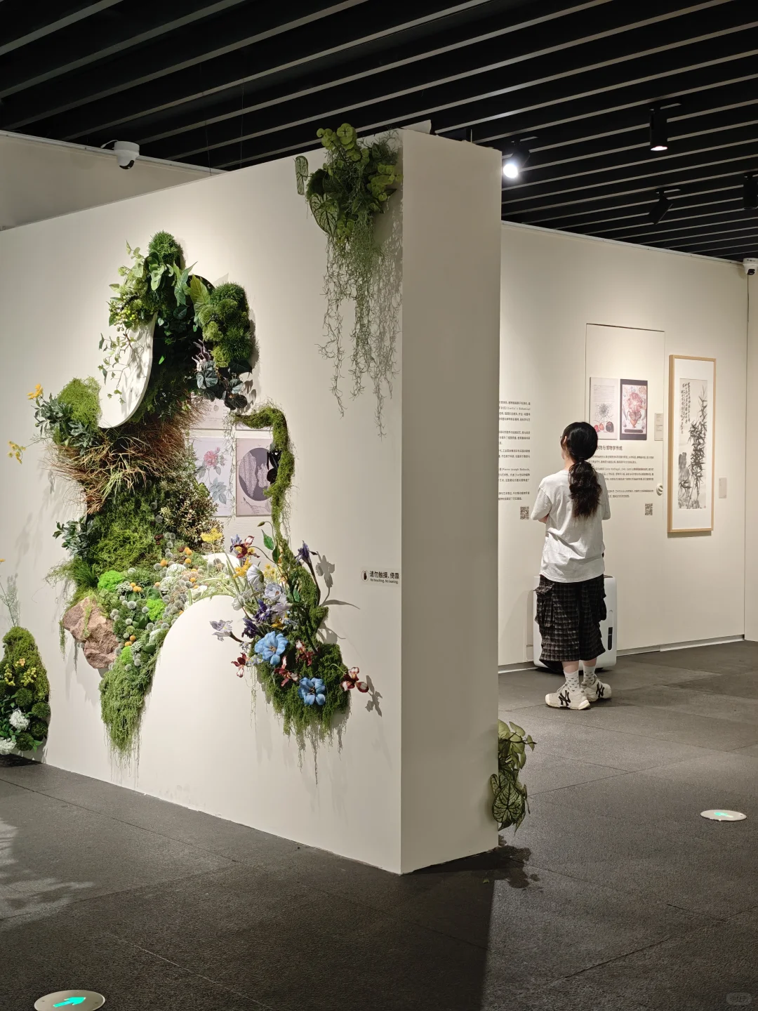 深圳新展｜植物“双面镜”，艺术与科学并置