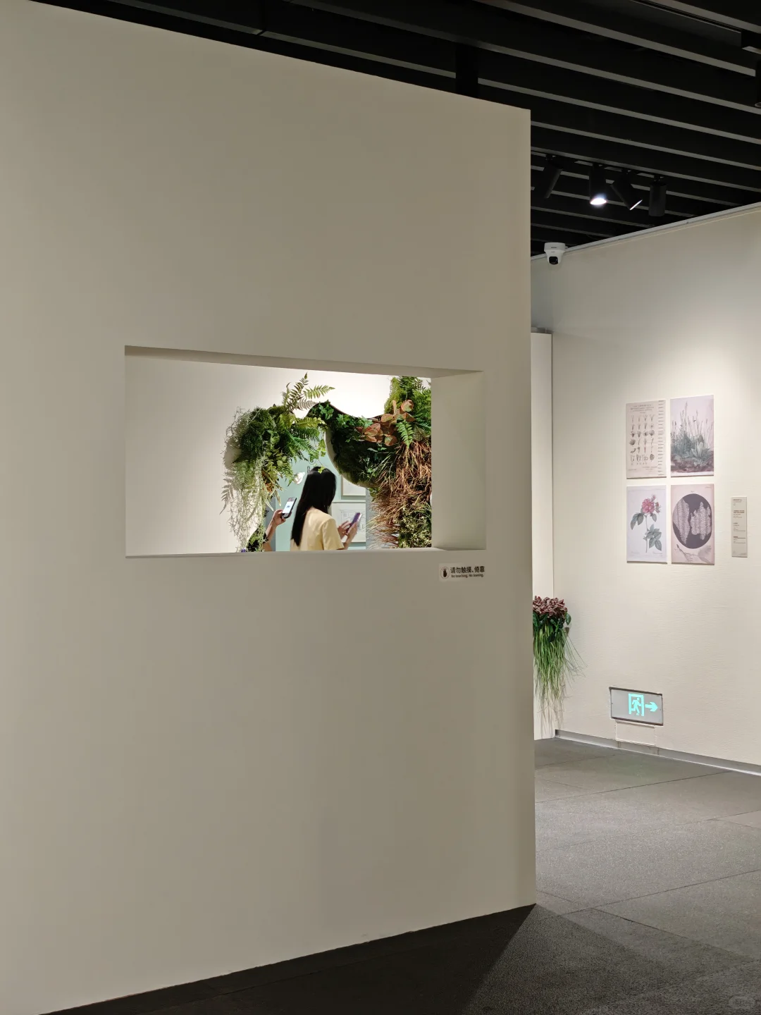 深圳新展｜植物“双面镜”，艺术与科学并置