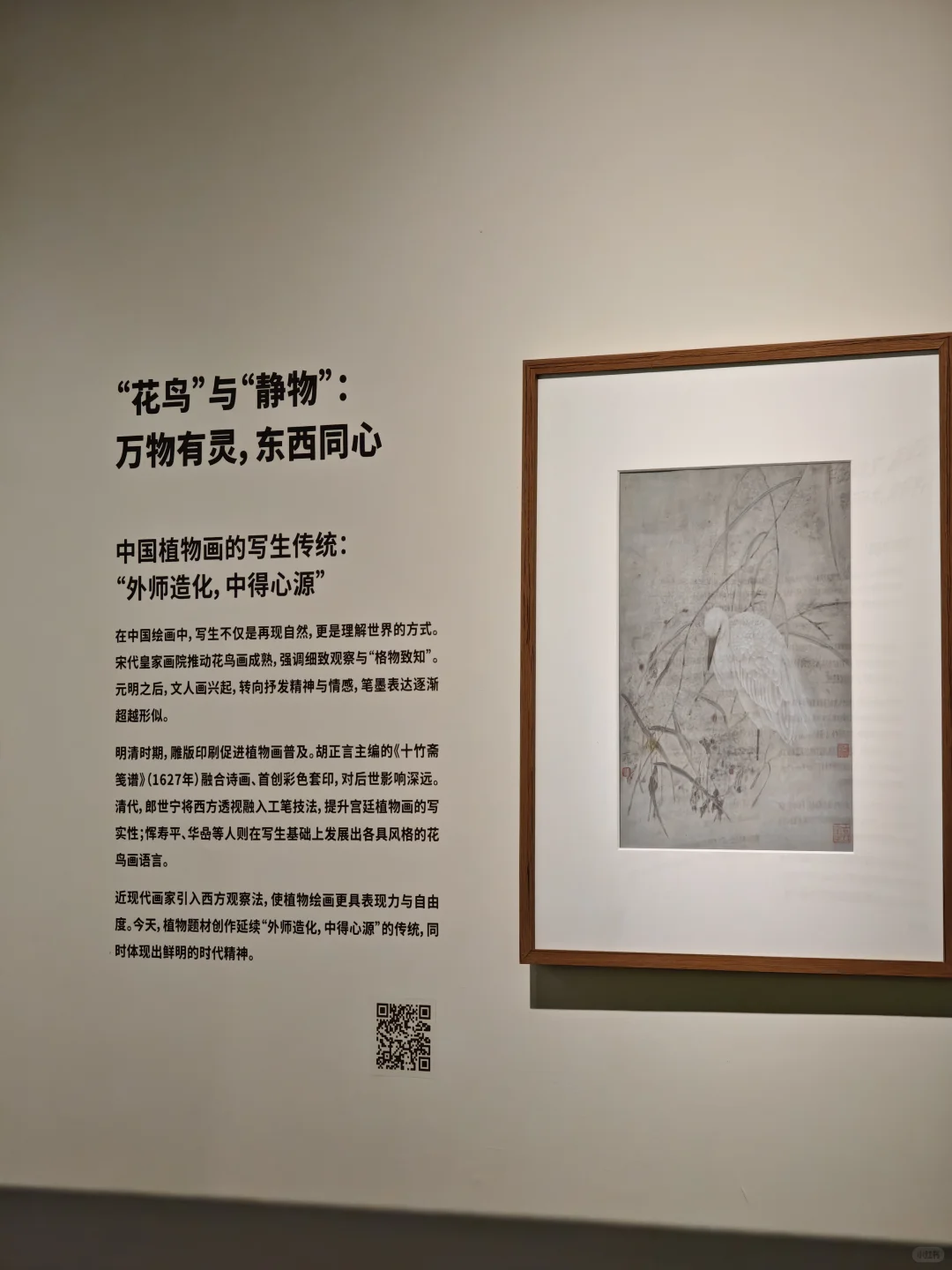 深圳新展｜植物“双面镜”，艺术与科学并置