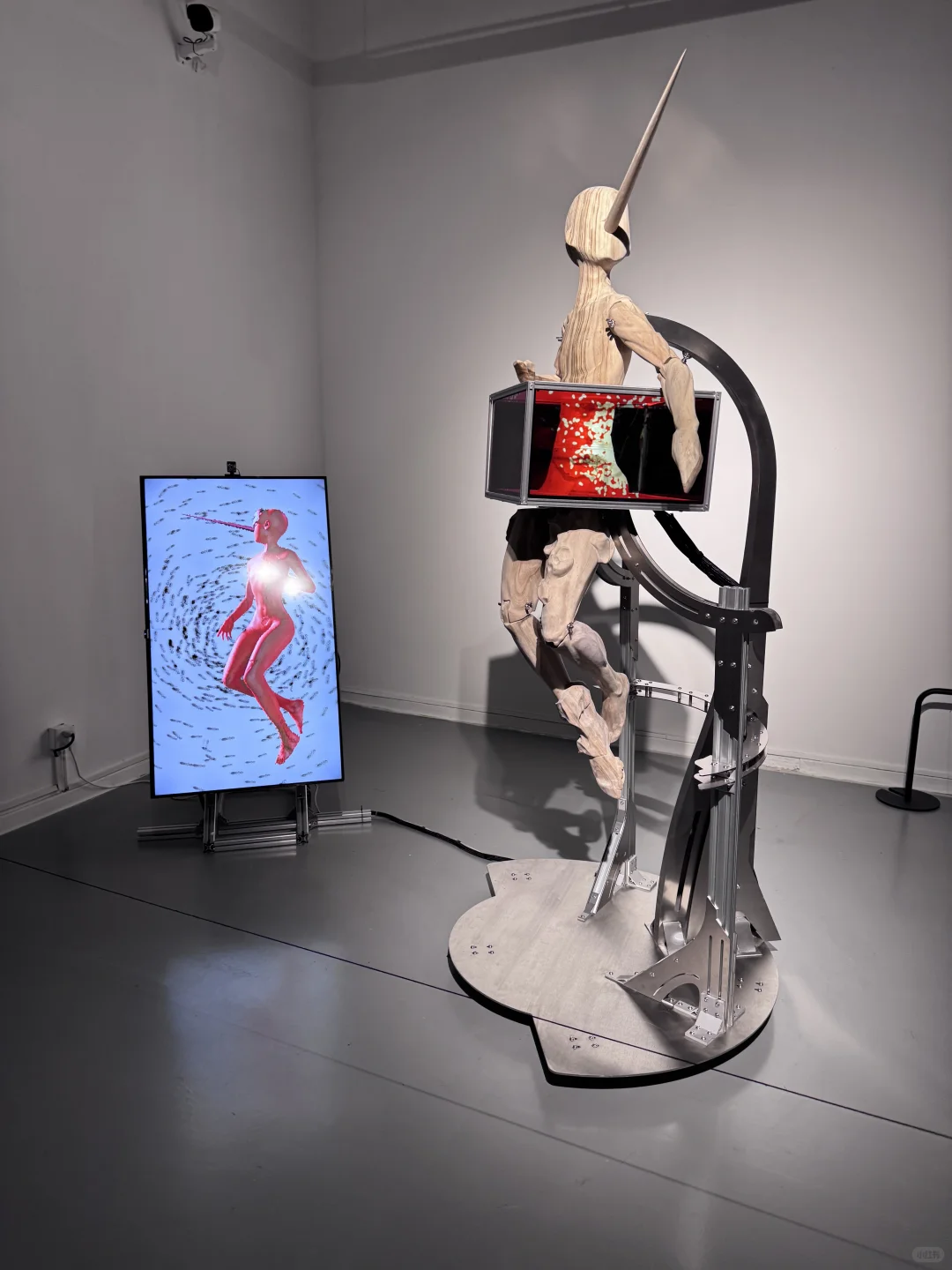 ?苏州｜解锁金鸡湖新展?