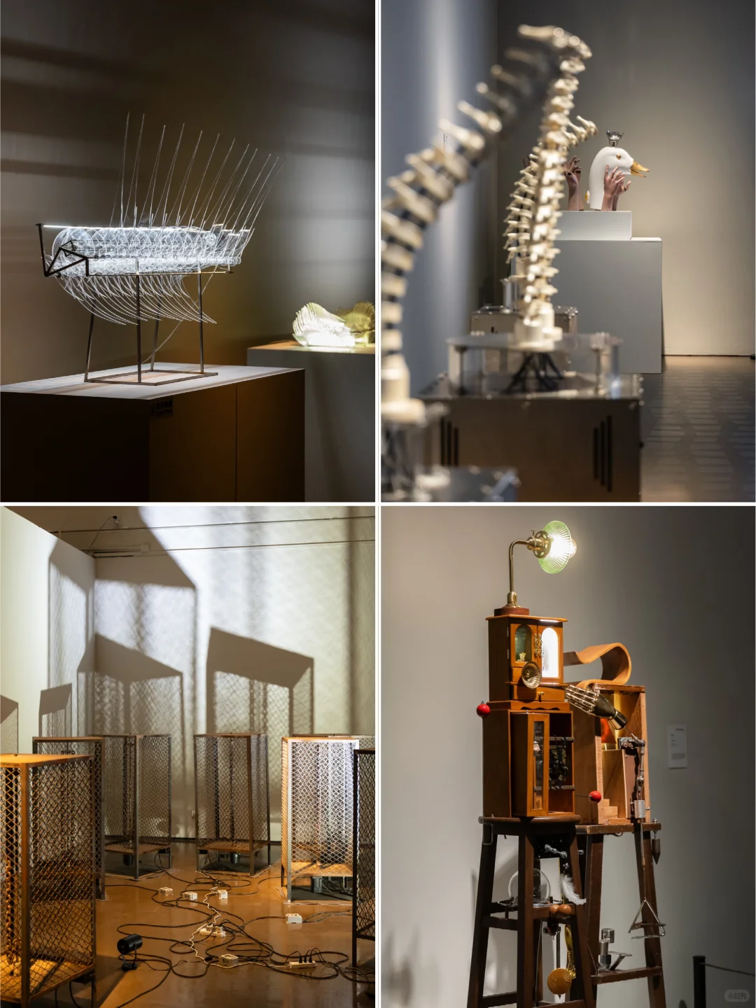 上海❗近期值得看的一场动态雕塑展