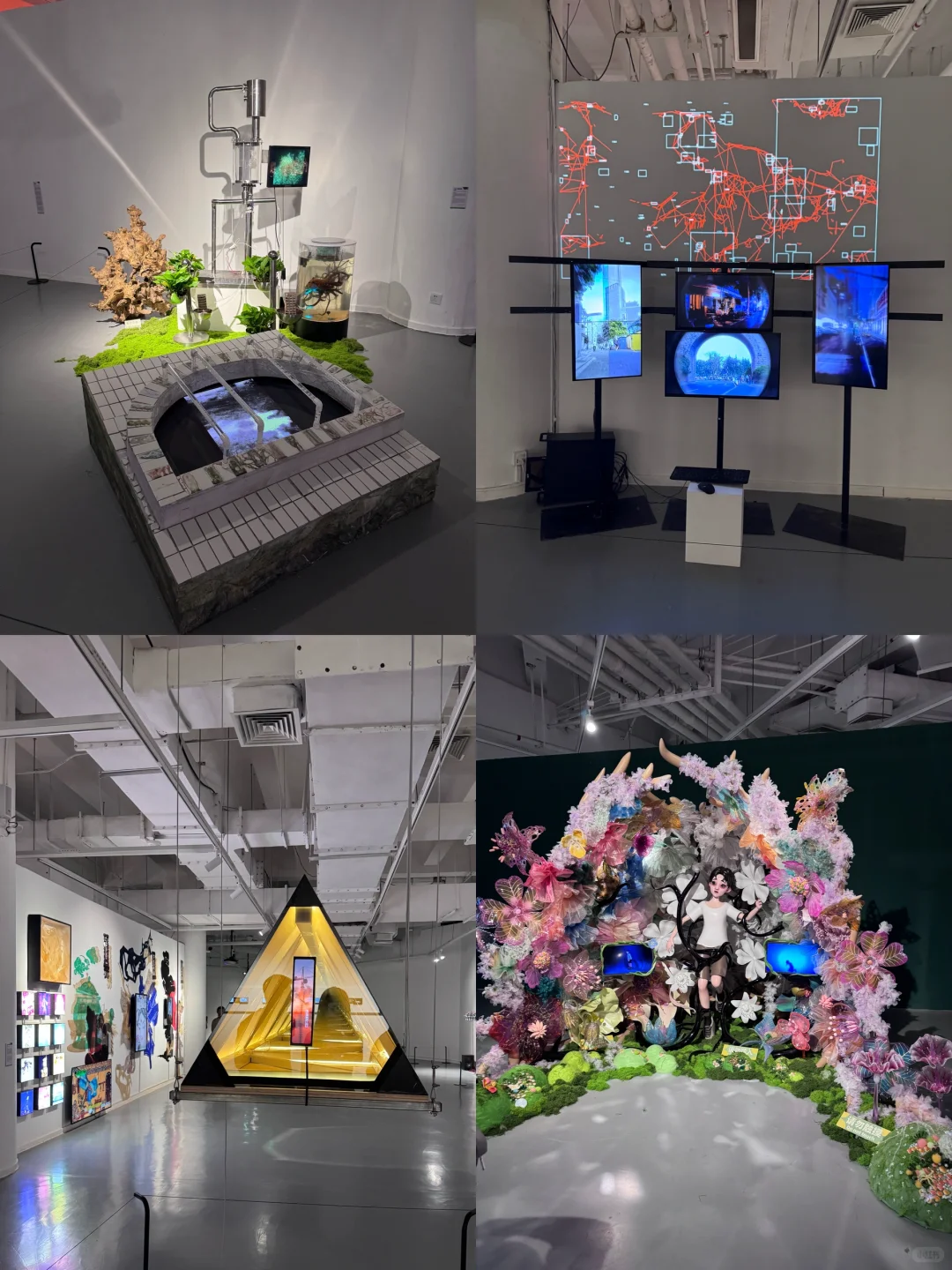 ?苏州｜解锁金鸡湖新展?