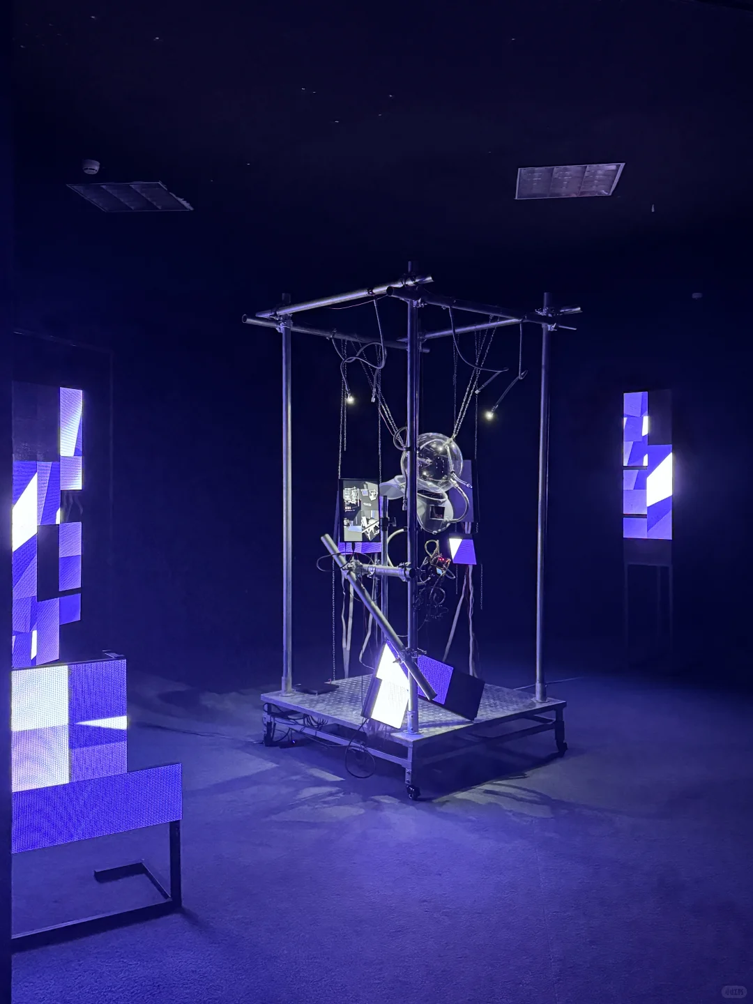 ?苏州｜解锁金鸡湖新展?