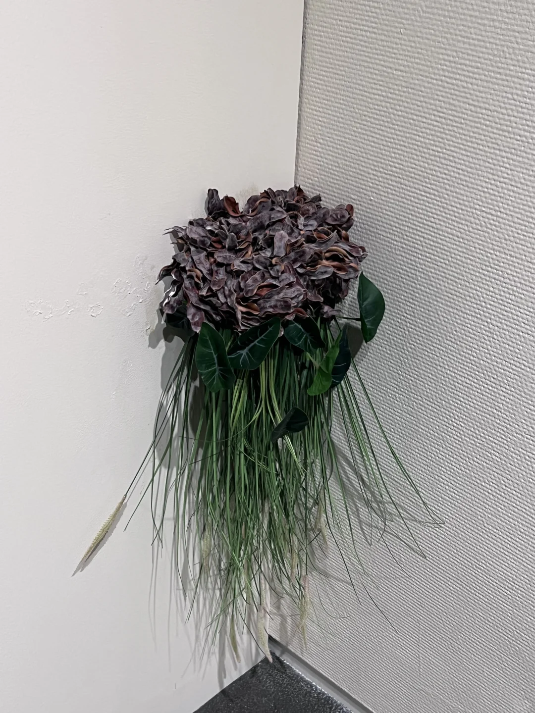 在深圳美术馆里逛森林❓这个免费新展做到了