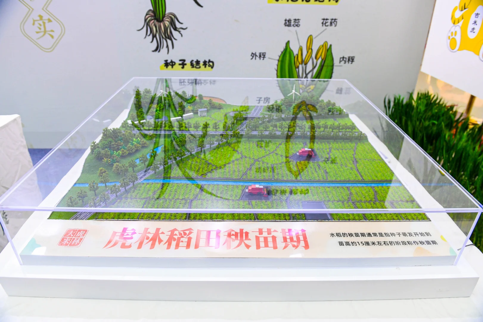 推介会圆满成功！！