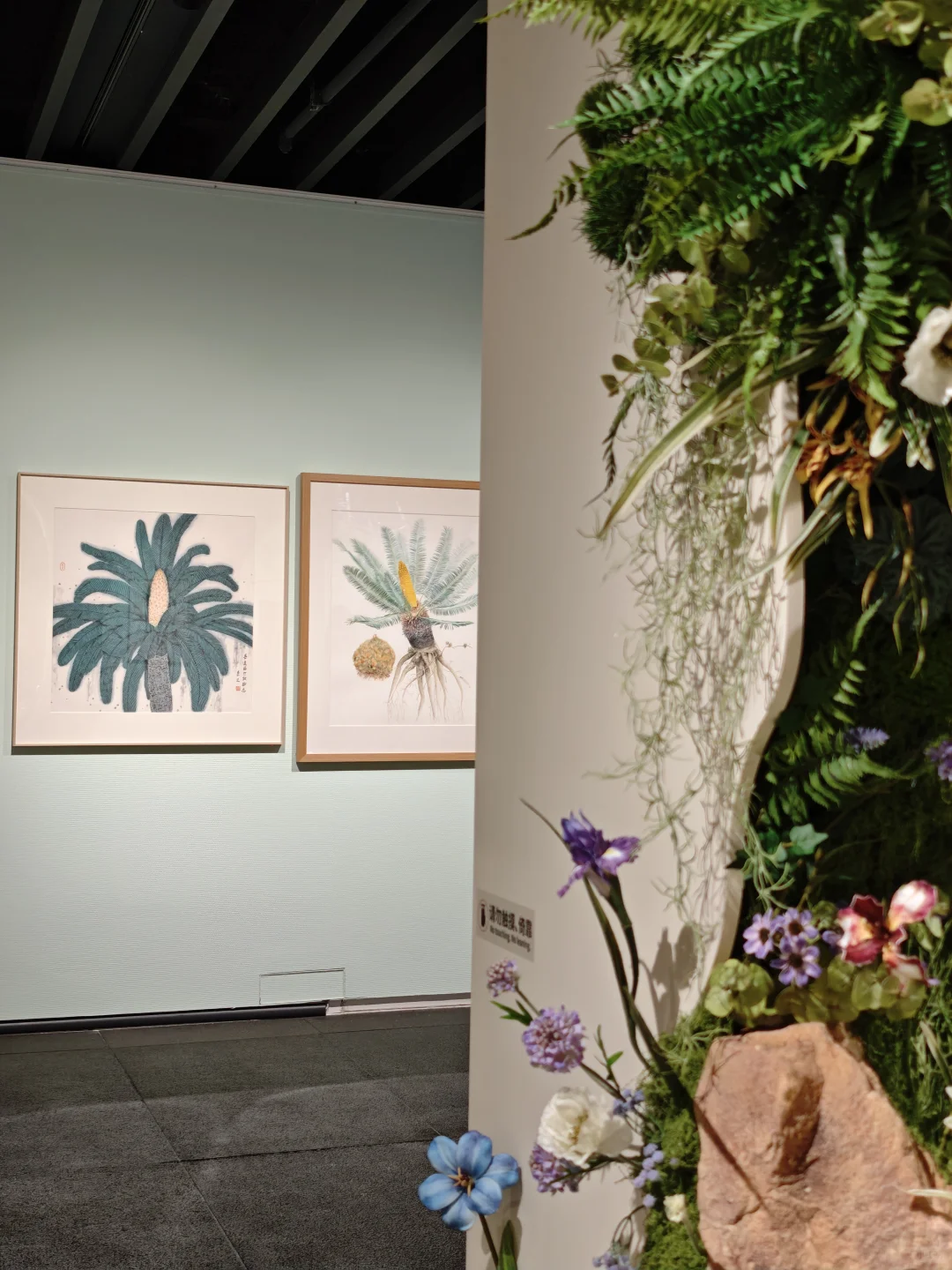 深圳新展｜植物“双面镜”，艺术与科学并置