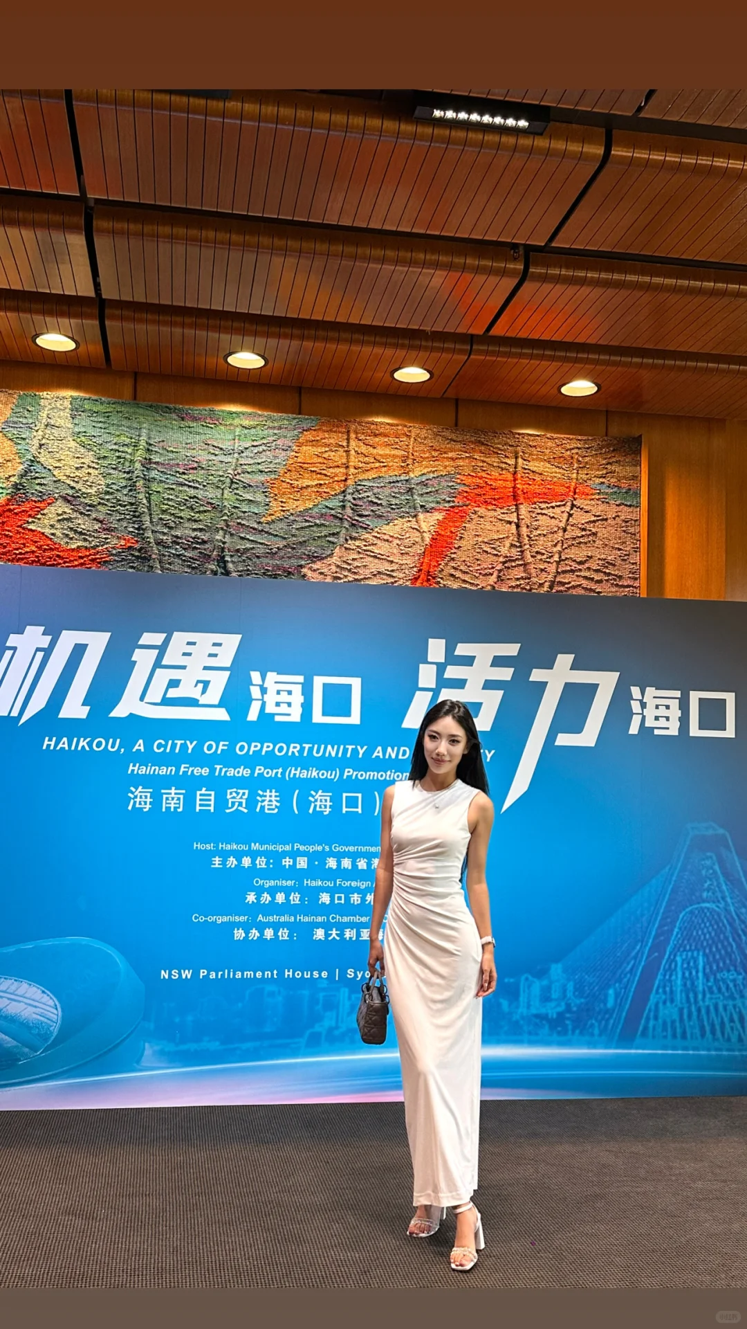 ????海南自贸港（海口）推介会
