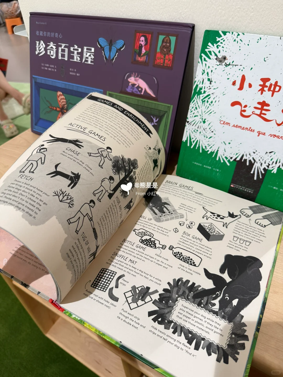 贝曾?票 | 北京新展!治愈!博洛尼亚插画展