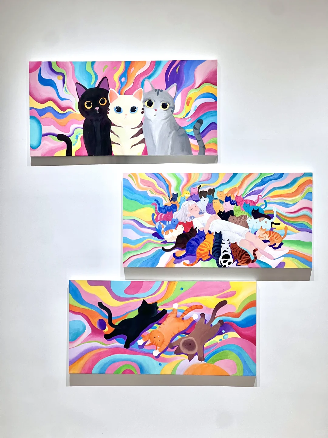 中山免费新展?限定毕业展!巨好拍?