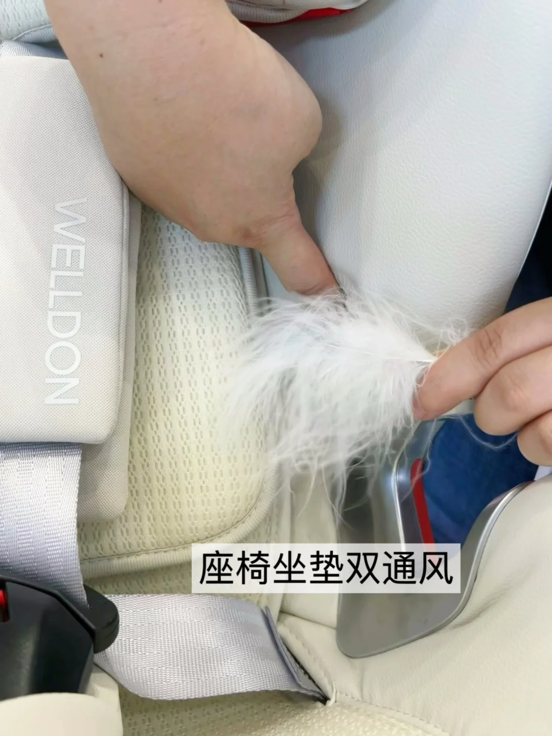 上海这个母婴展怎么这么好逛?