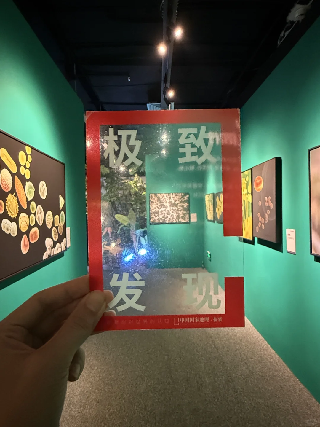 石家庄出息了！河北首展！