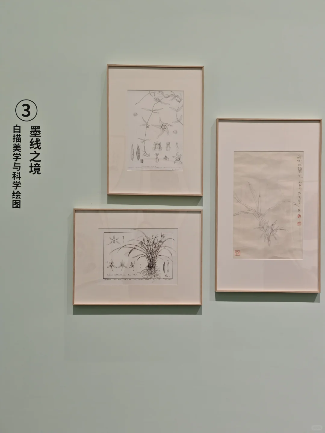 深圳新展｜植物“双面镜”，艺术与科学并置