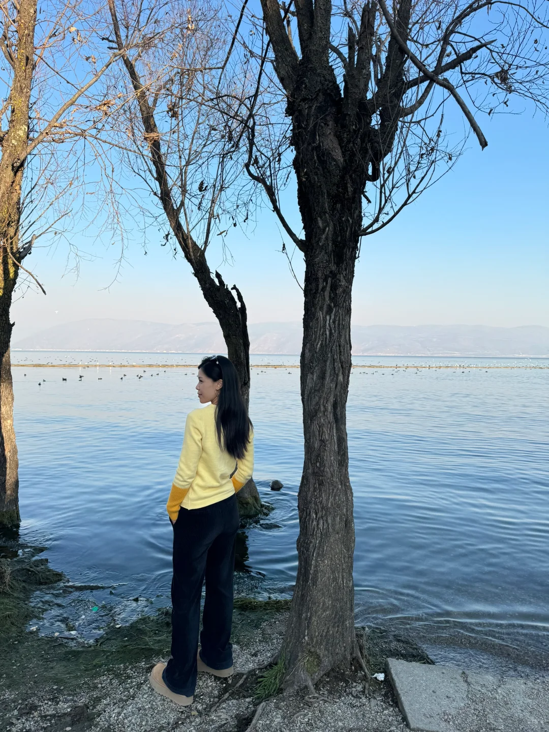 云南s湾的美