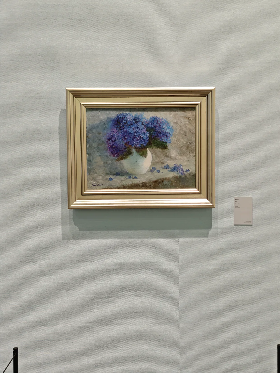 深圳新展｜植物“双面镜”，艺术与科学并置