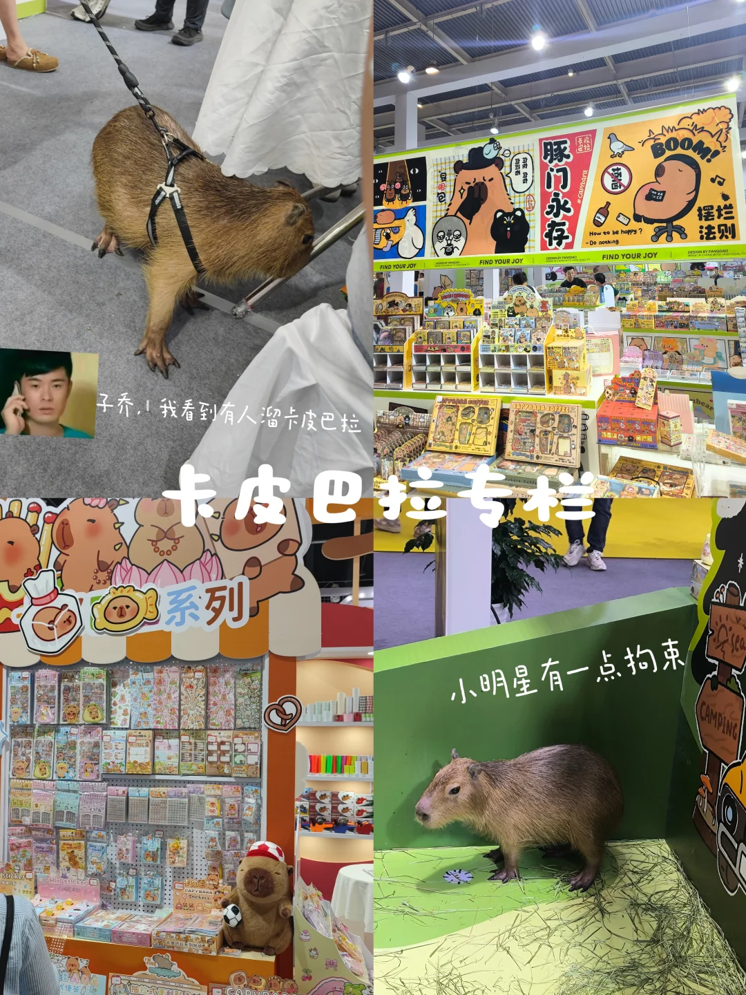太好逛了！!