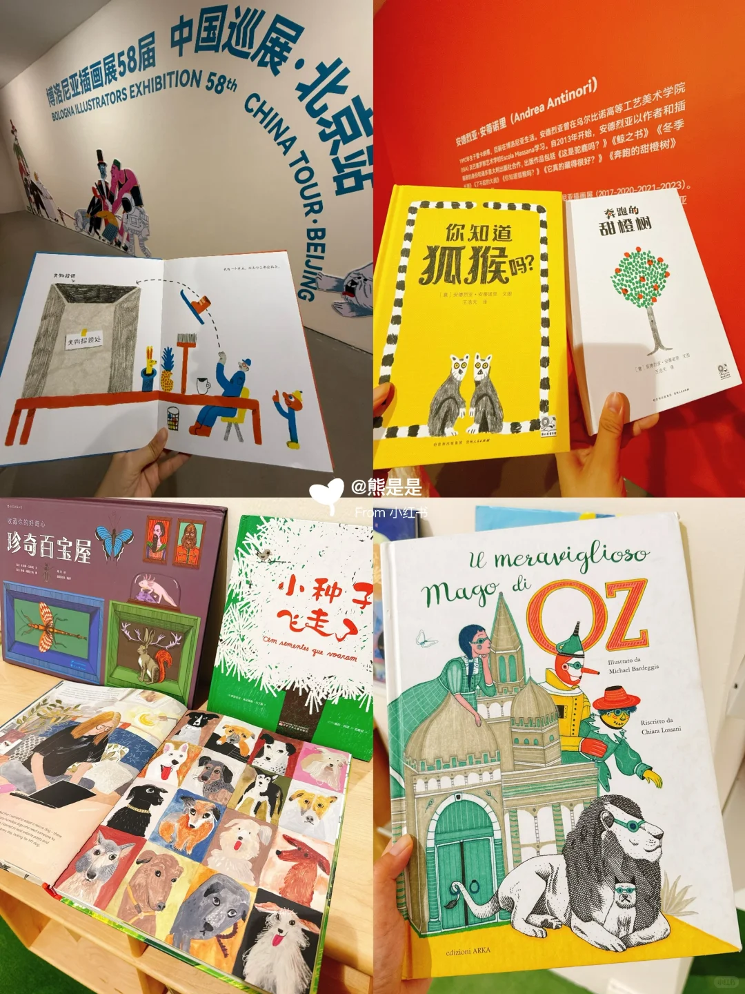贝曾?票 | 北京新展!治愈!博洛尼亚插画展