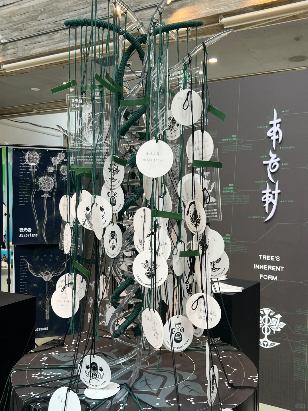 2024国美毕业展 | 看完后的一些想法?