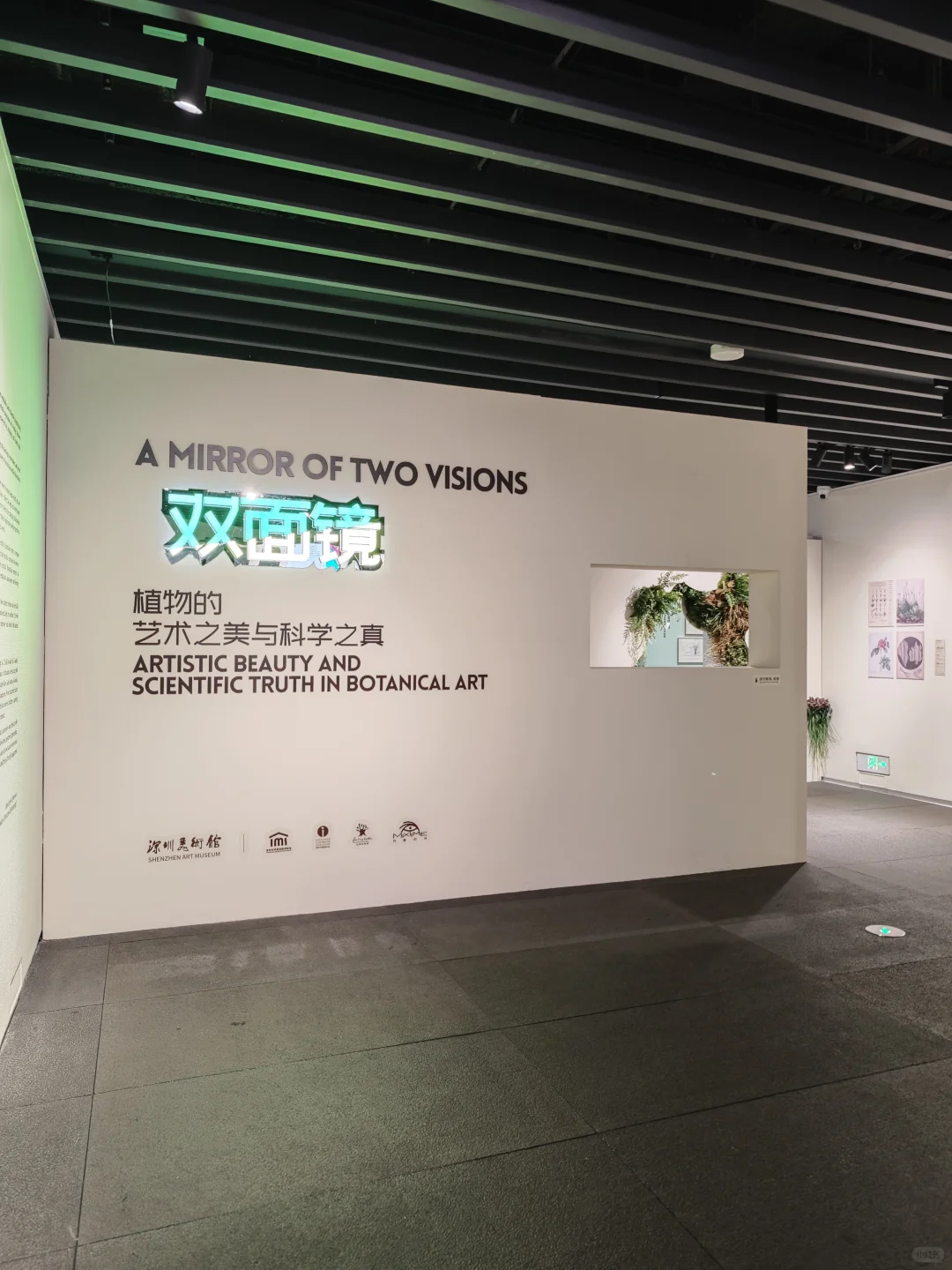深圳新展｜植物“双面镜”，艺术与科学并置