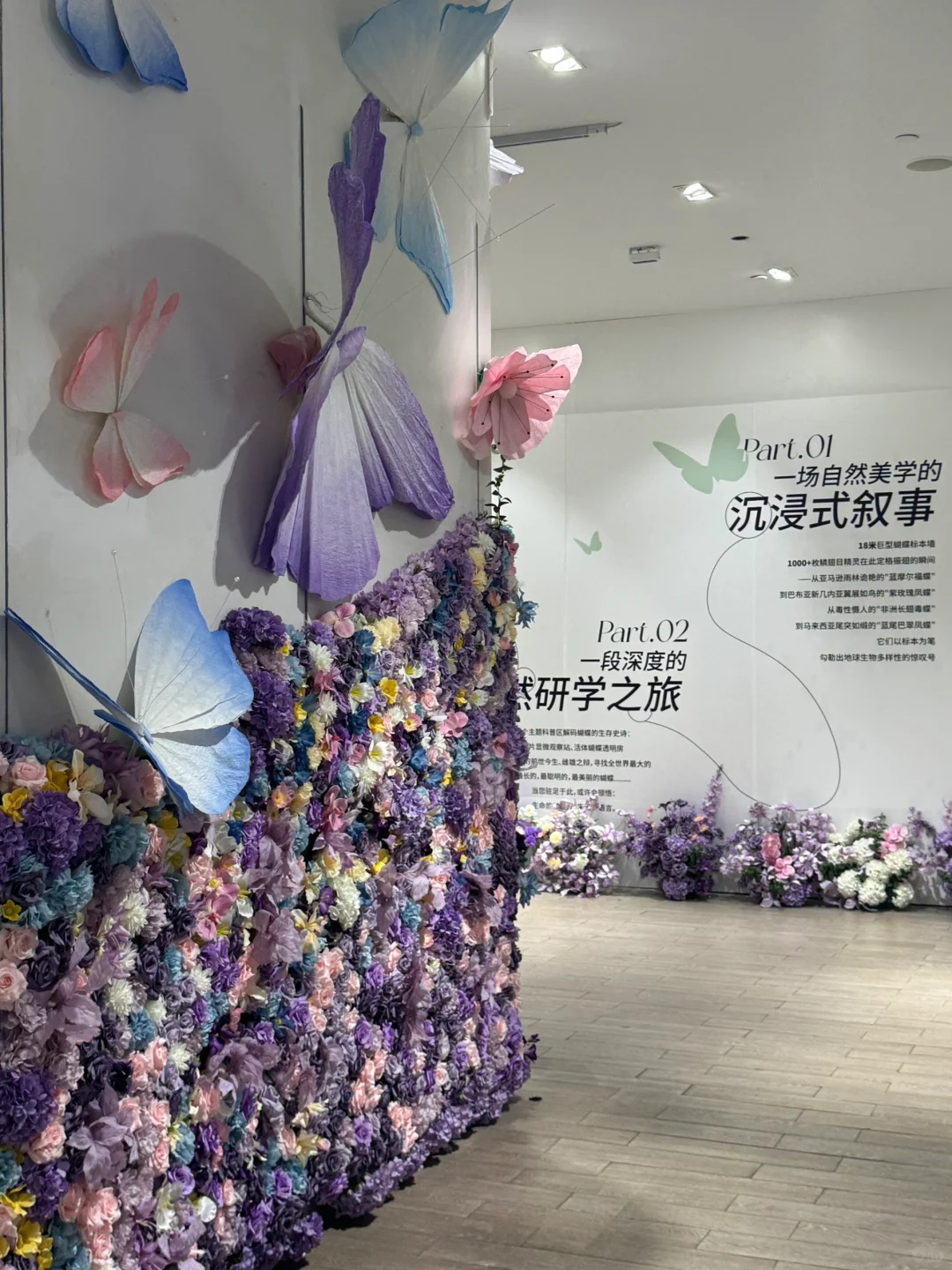 深圳免费新展❗️500平米首家大型蝴蝶展~