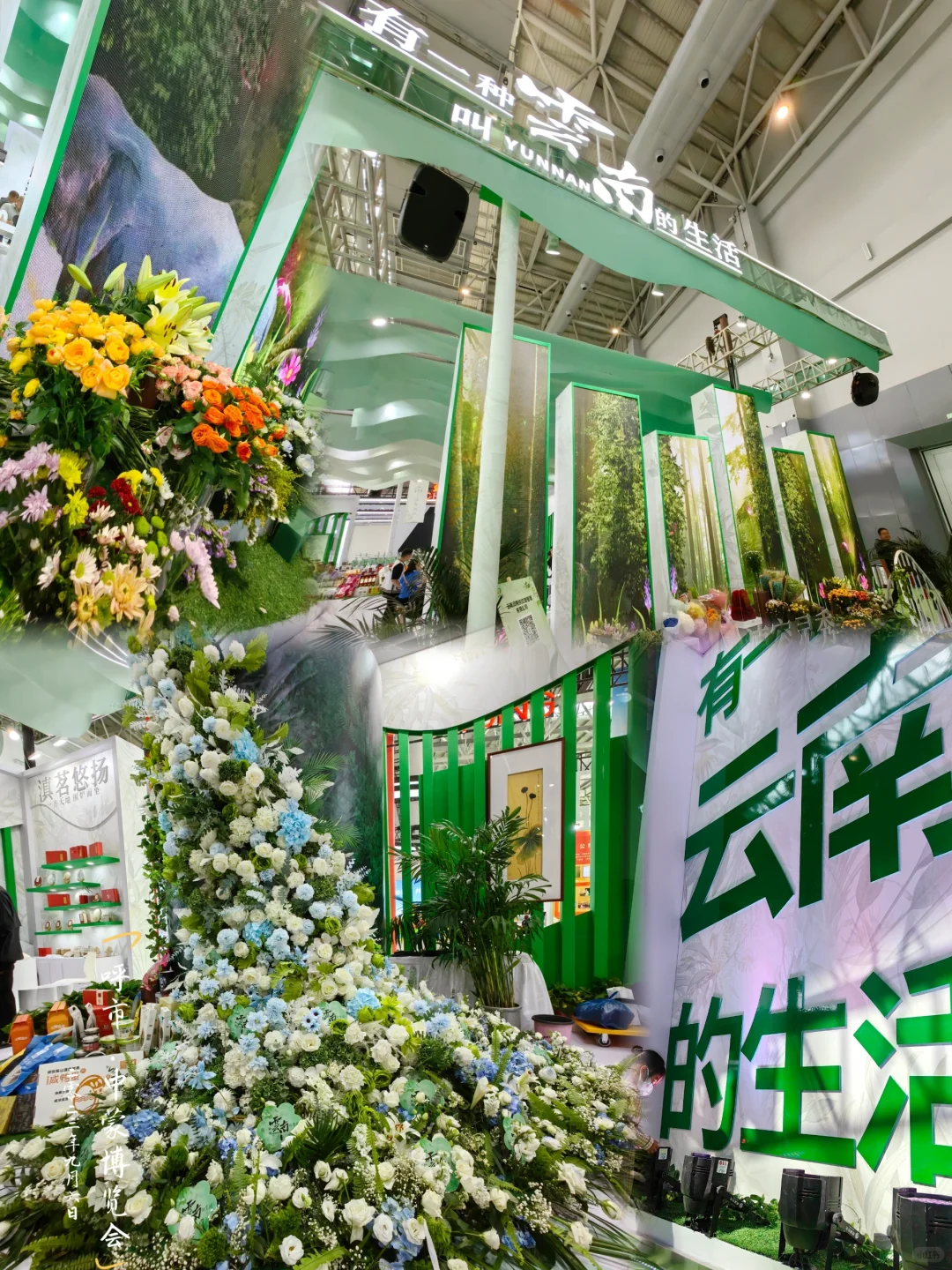 呼和浩特|视觉与味蕾的盛宴·中蒙博览会