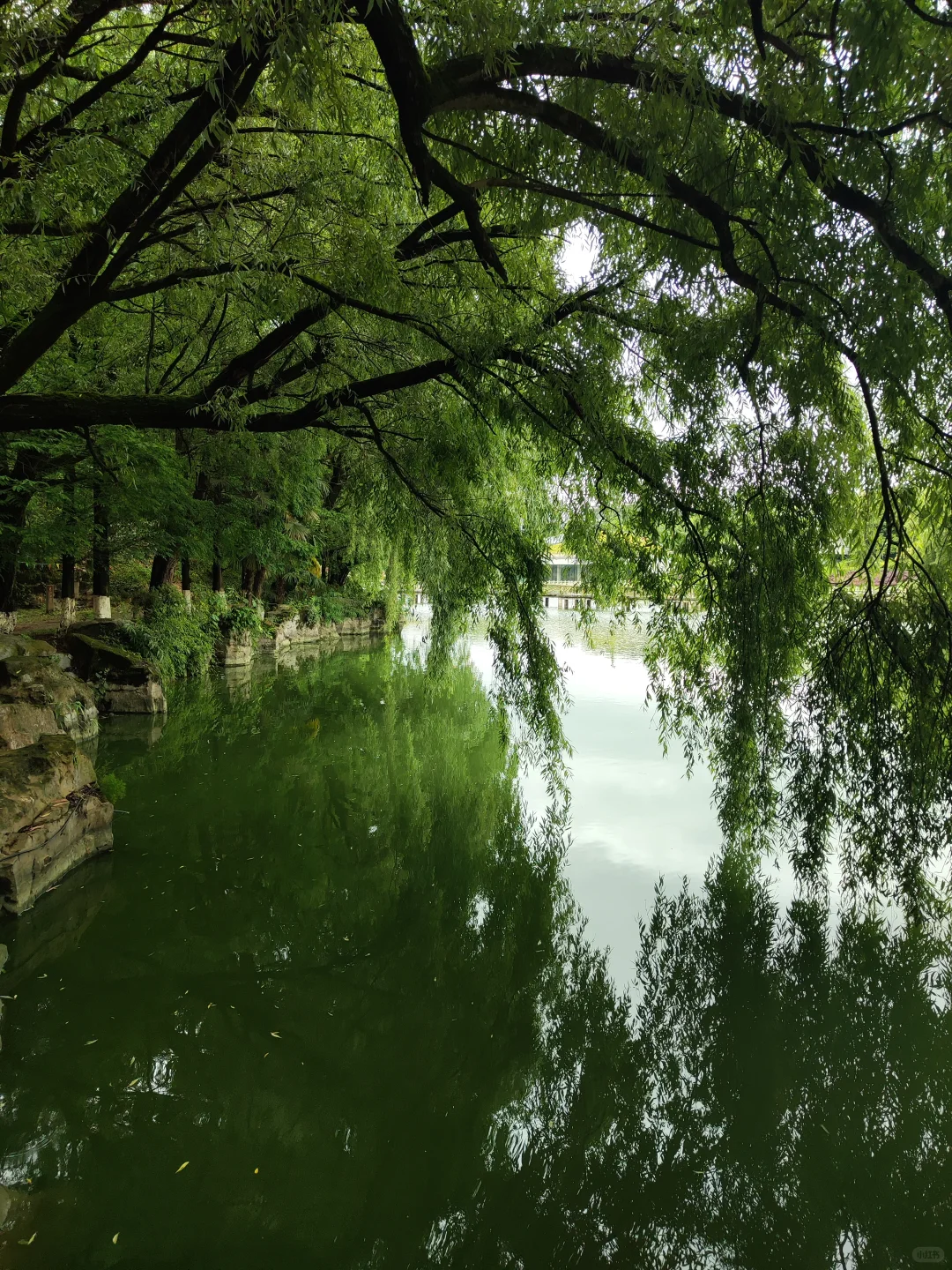 昆明被低估的宝藏地,异域风情&古色古香