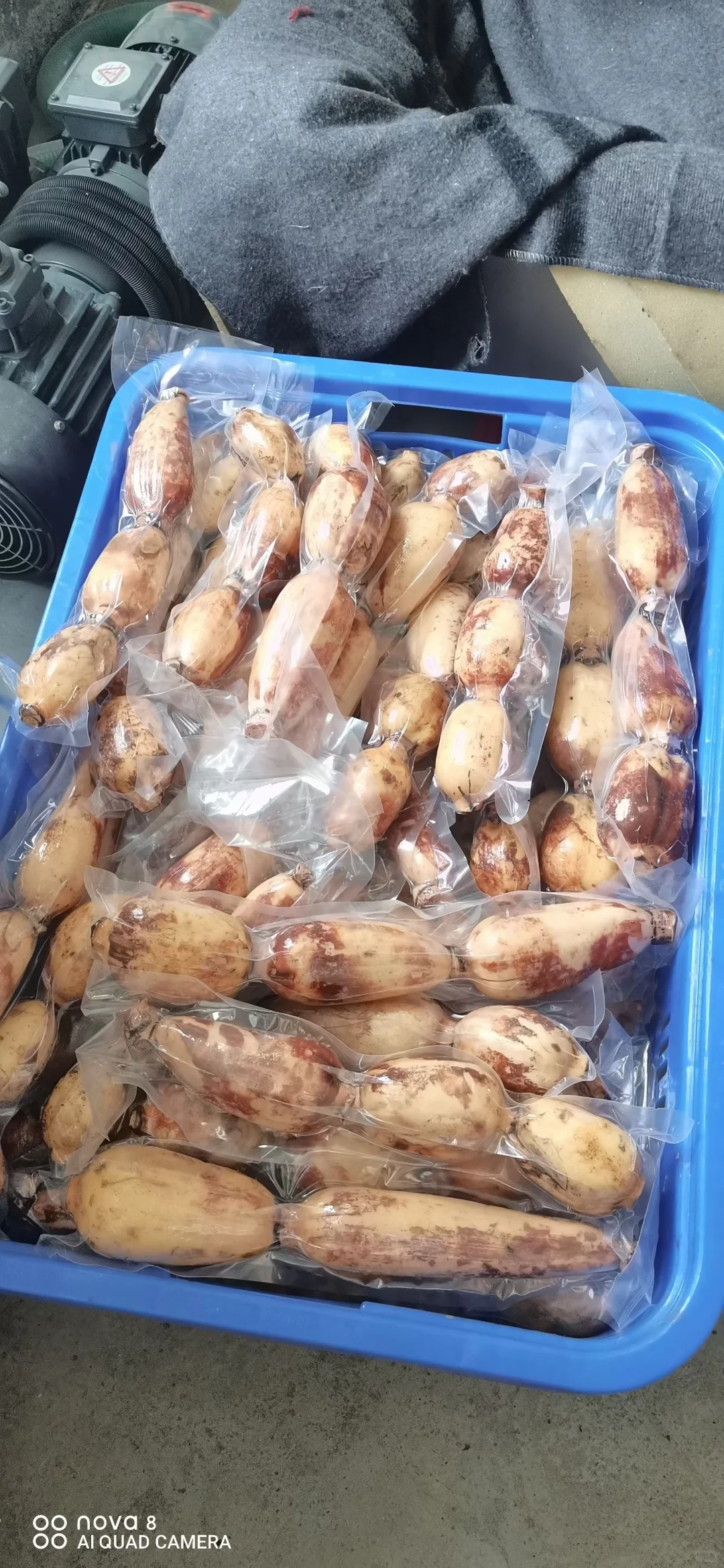 广州市农产品博览会